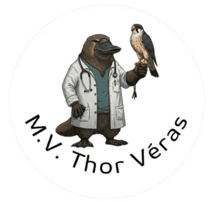 Logo Vet Thor Veras