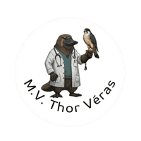 Logo Vet Thor Veras
